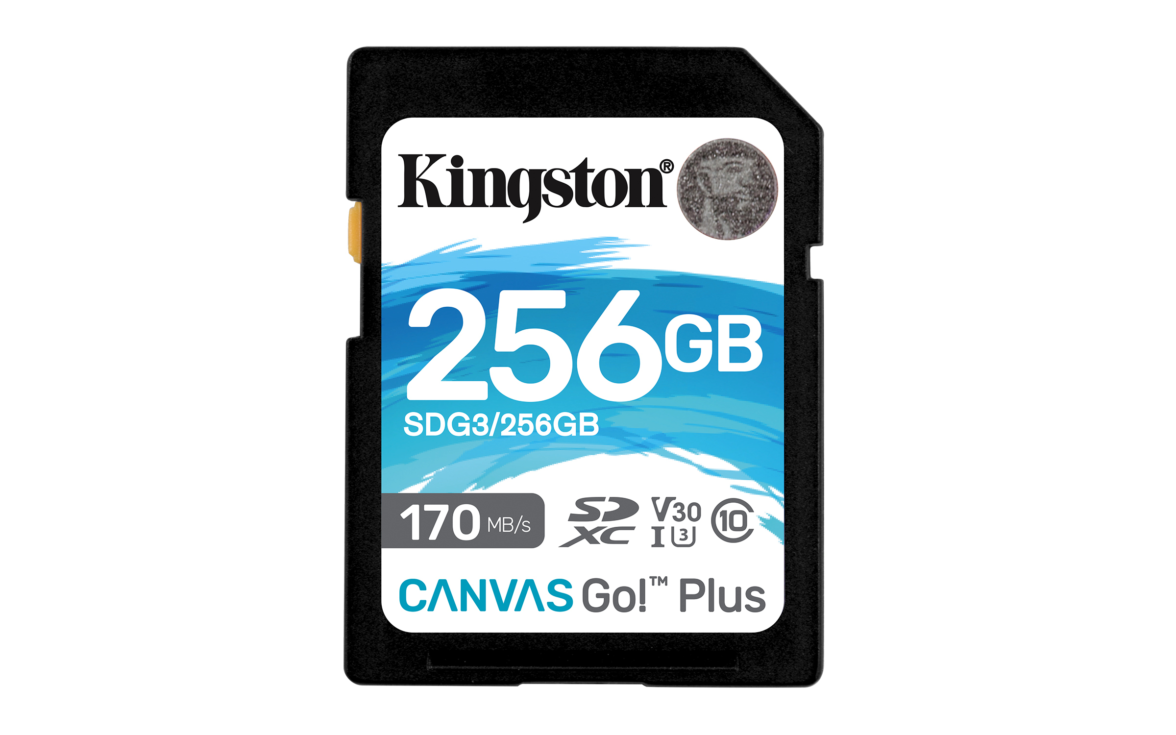 Kingston 256GB Canvas Go! Plus SD Memory Card Class 10, UHS-I, U3, V30, up to 170MB/s read, and     