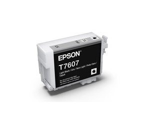Epson 760 Light Black Ink Cart