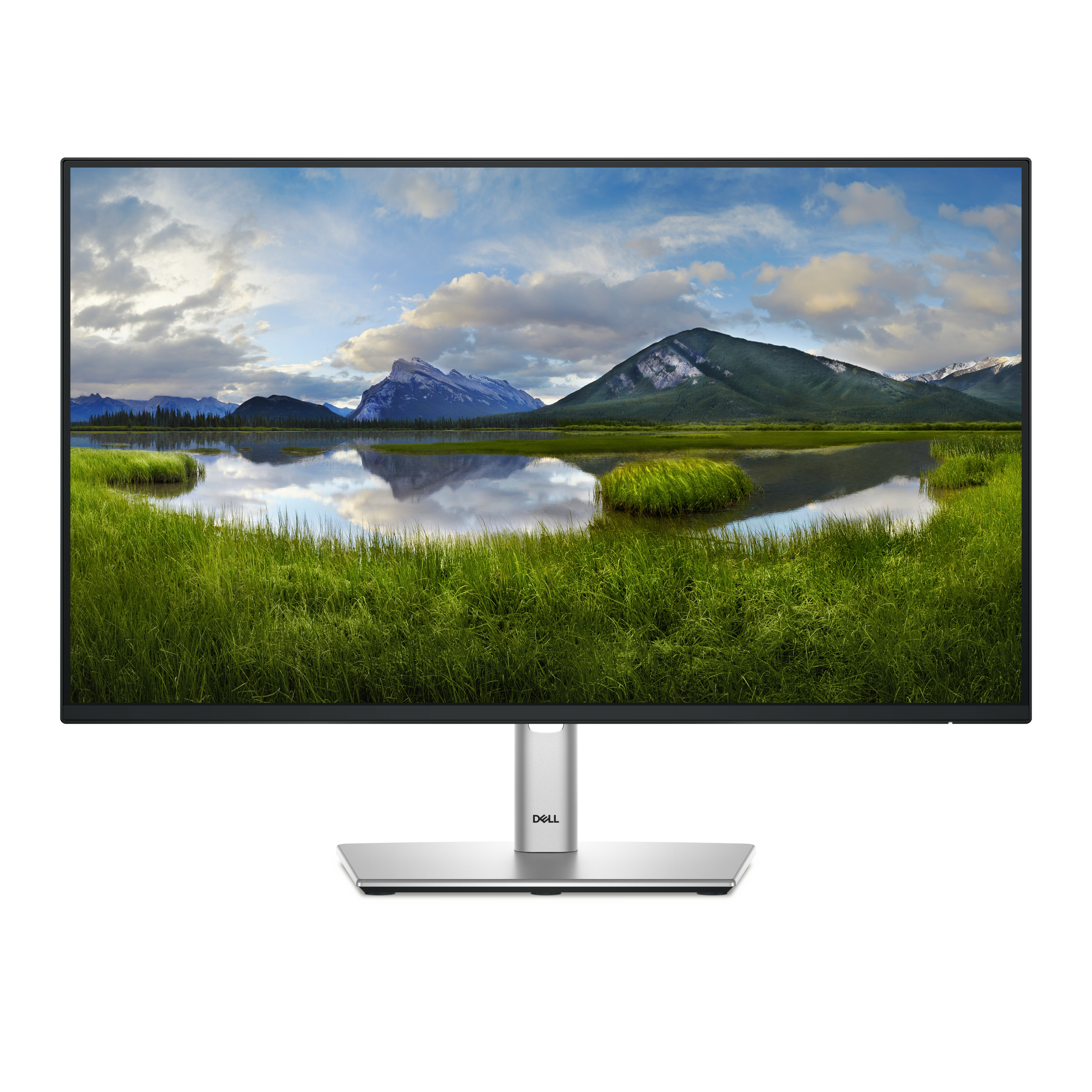 MONITOR P2425HE