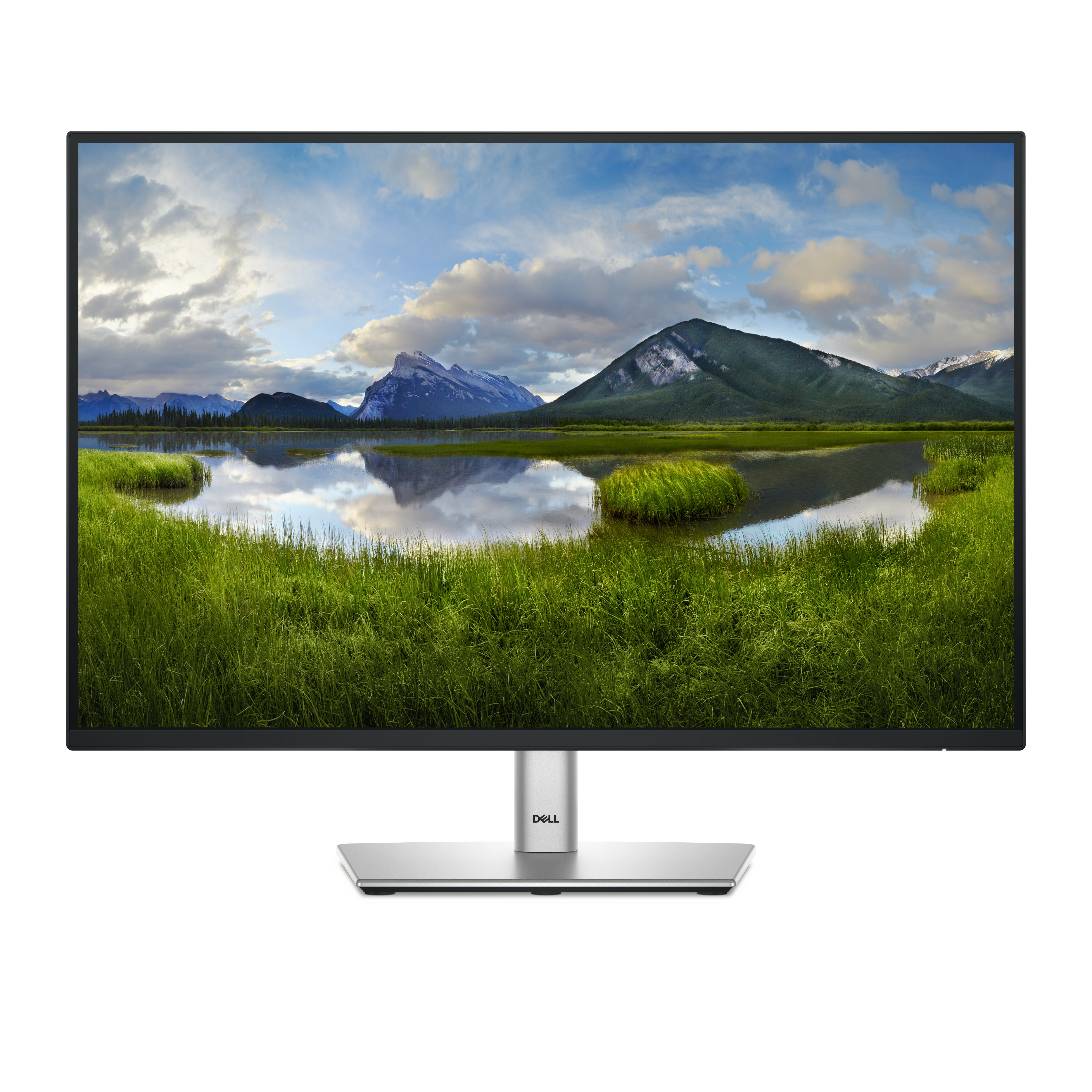DELL MONITOR P2425E