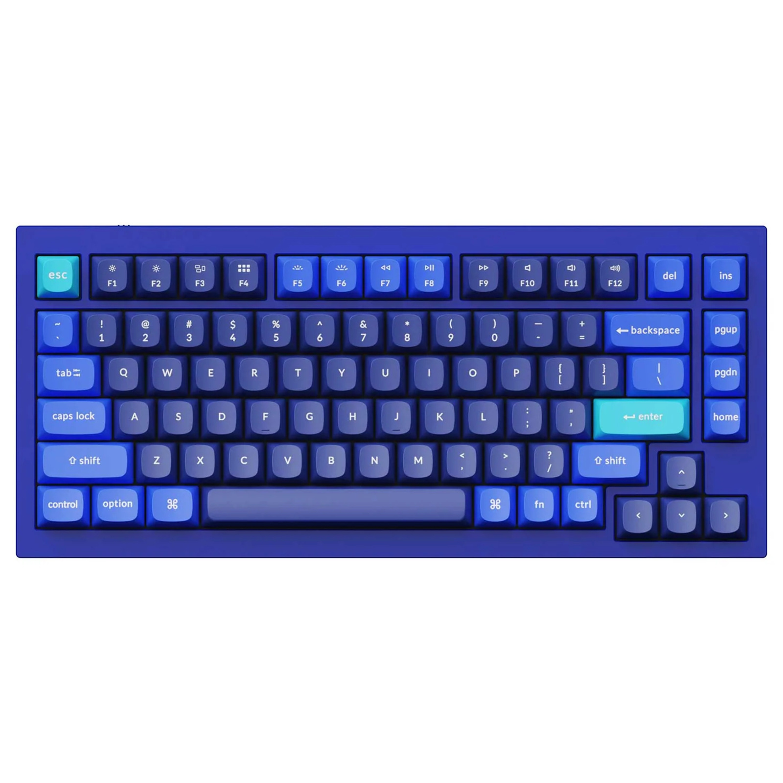 Keychron Q1 QMK Custom Hot-Swappable Gateron Phantom Blue Switch Mechanical Keyboard Full Assembled Navy Blue RGB