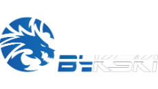 Bykski